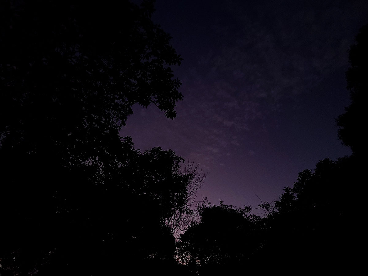 星の写真