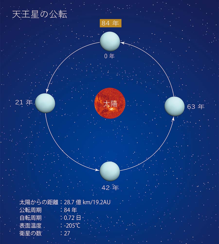 人生星