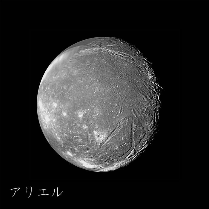 アリエル