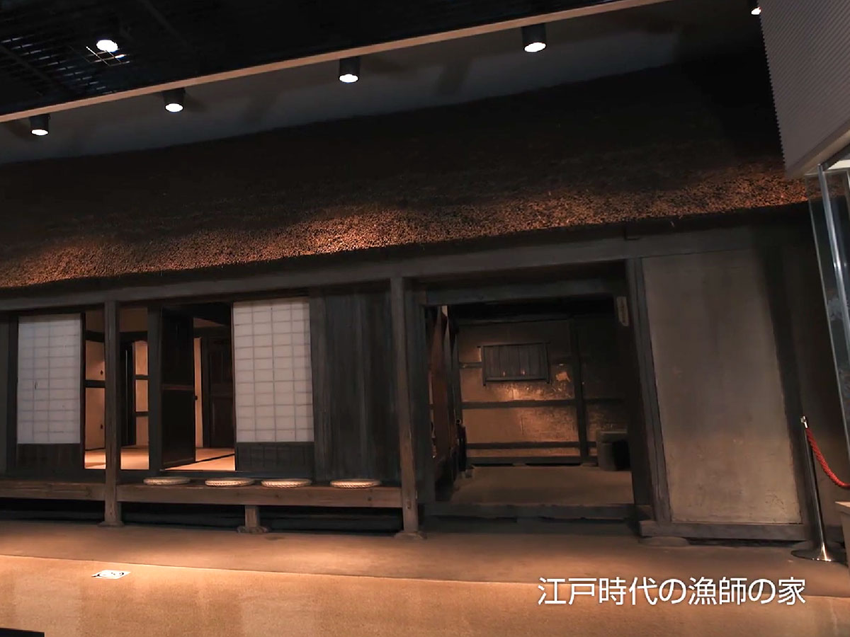 横須賀市自然・人文博物館